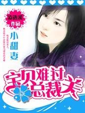 小小甜妻:宝贝难过总裁关